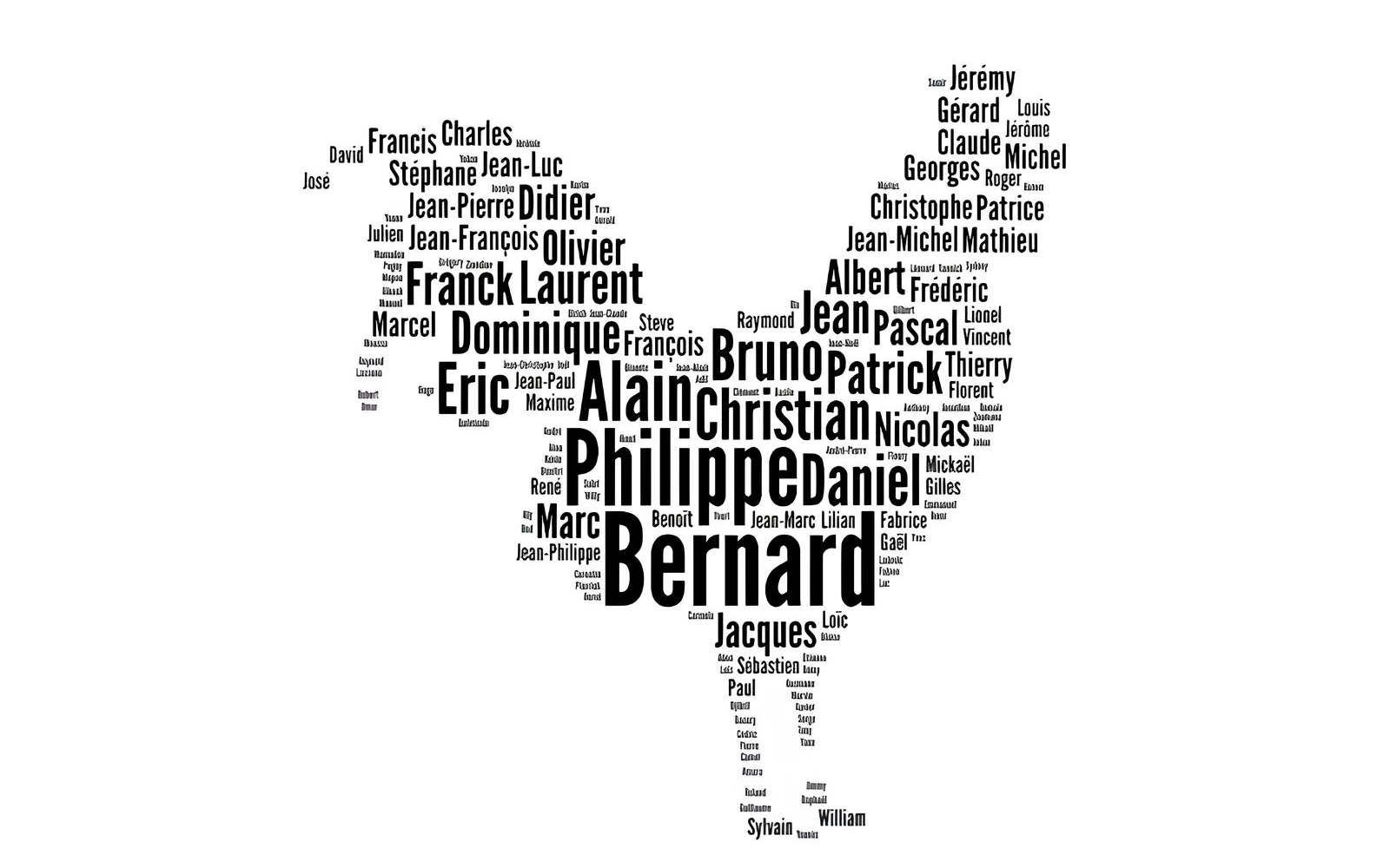 Le nom des Français : histoire, continuité et effacement symbolique